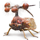Illustration for article titled The Brazilian Treehopper may be the strangest creature weve ever laid eyes on